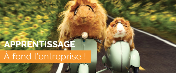 Taxe d'apprentissage : soutenez CAMPUSVar