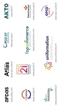 Les opérateurs de compétences (OPCO)