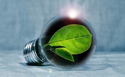 Les entreprises s'engagent pour une société inclusive et un monde durable