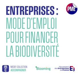 Financer la biodiversité : un nouveau guide pratique pour passer à l'action